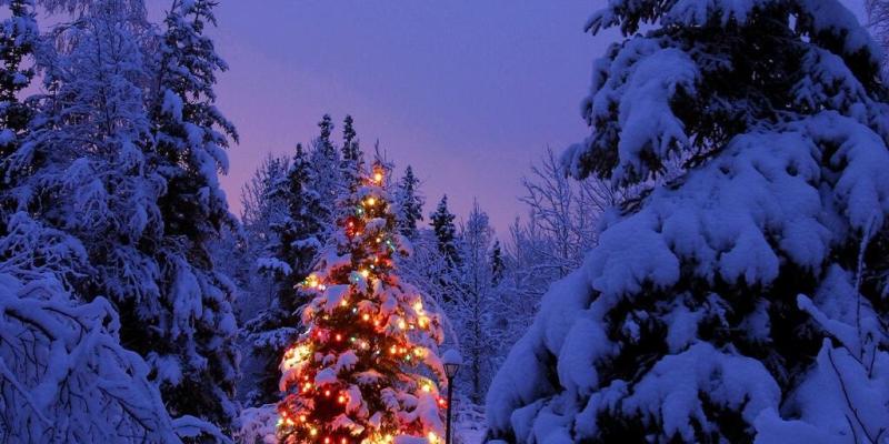 Immagini Copertina Natale.Alberi Di Natale Artinmovimento Com