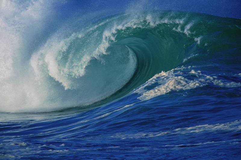 Wave Spring: il cuore del mare