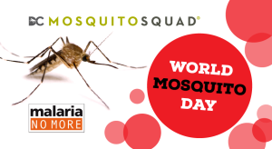 World_Mosquito_Day_DC_Mosquito_Squad