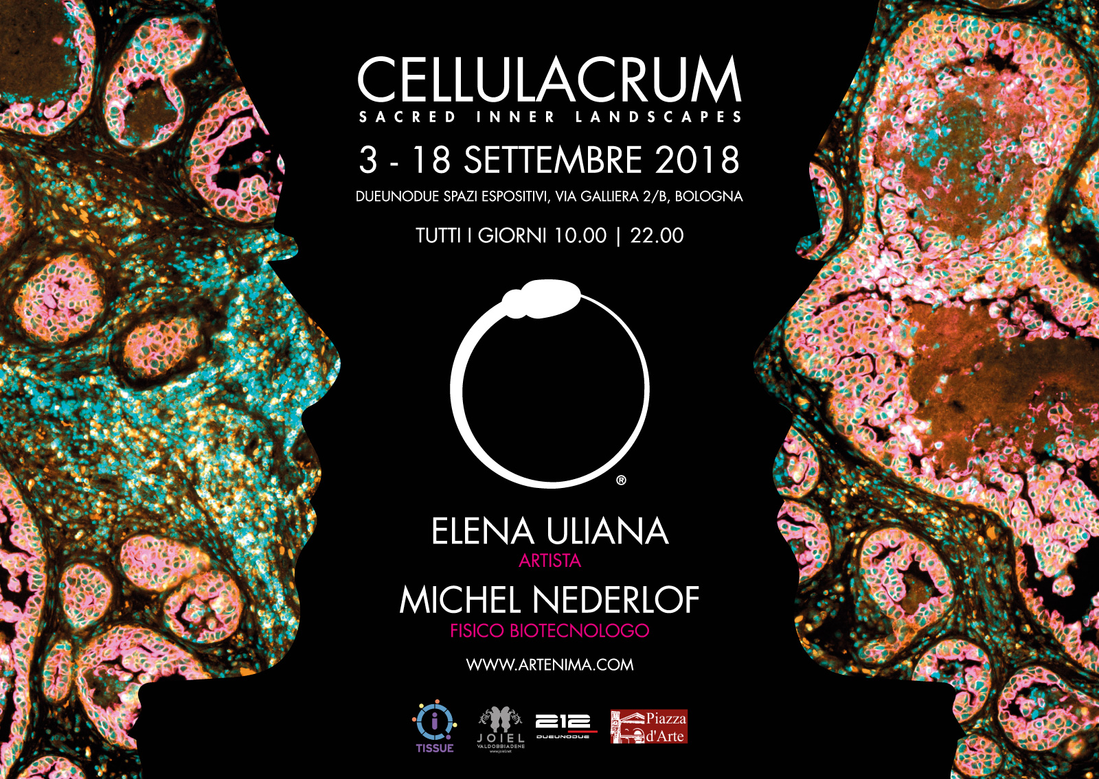 Cellulacrum. Sacred Inner Landscapes, le esclusive opere portali di Elena Uliana